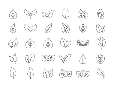 Eko, satır simge kümesi Vektörü bırakıyor