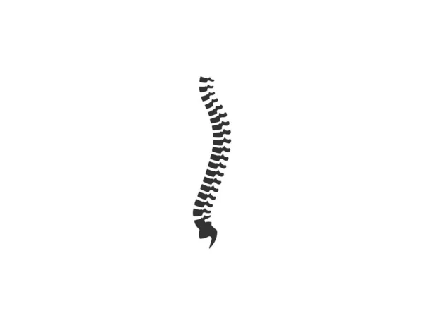 矢量图解 人类脊椎 自然脊梁图标 — 图库矢量图片