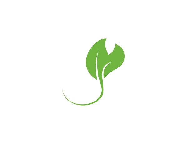 Vektorová Ilustrace Ikona Eco Zelených Listů — Stockový vektor