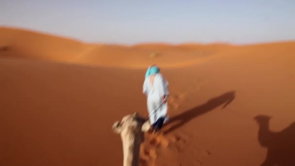 Walk in Morocco desert, Sahara — Stock Video