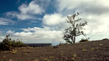 Kilauea Caldera yanardağlar Milli Parkı zaman atlamalı
