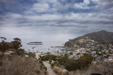 Cruise Ship at Santa Catalina Island clipart