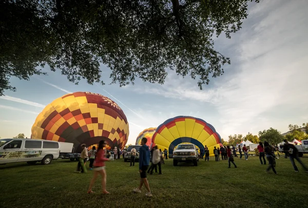 Temecula Hot Air balon Festival — Stock fotografie