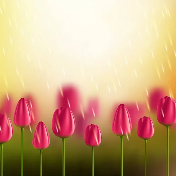 Fleurs Fond Vectoriel Avec Des Tulipes — Image vectorielle