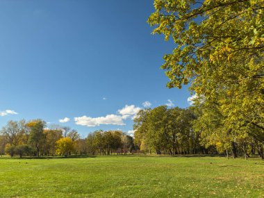 Geniş Yeşil Çim Sonbahar Ağaçları Açık Mavi Gökyüzü