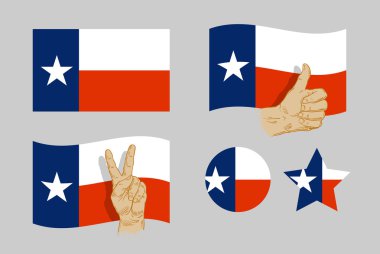 Texas flag icons set. vector illustration clipart