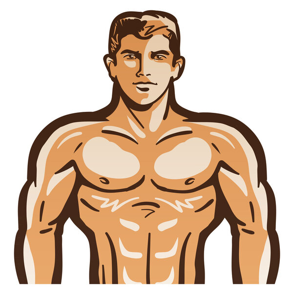 male body. vector illustration