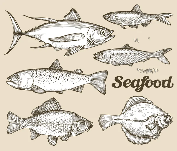 Frutos do mar. Desenho à mão ilustração vetorial de diferentes peixes —  Vetores de Stock