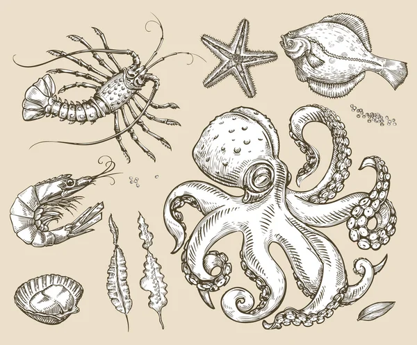 Desenho desenhado à mão conjunto de animais marinhos, frutos do mar. Ilustração vetorial — Vetor de Stock