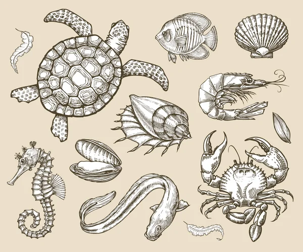 Serie di schizzi disegnati a mano di frutti di mare, animali marini. Illustrazione vettoriale — Vettoriale Stock