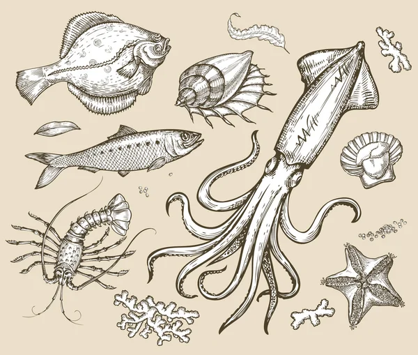 Desenho desenhado à mão conjunto de frutos do mar, mundo subaquático. Ilustração vetorial —  Vetores de Stock