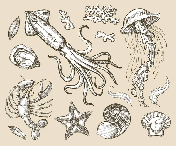 Hand drawn sketch set seafood, sea animals. Vector illustration Vector Graphics