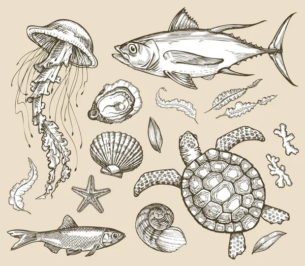 Hand drawn sketch set marine animals, wildlife. Vector illustration Stock Illustration