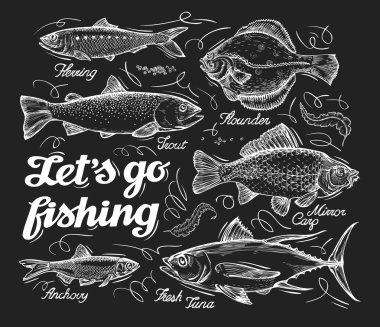 Fishing. Hand drawn sketch fish, herring, trout, flounder, carp, tuna, sprat. Vector illustration clipart