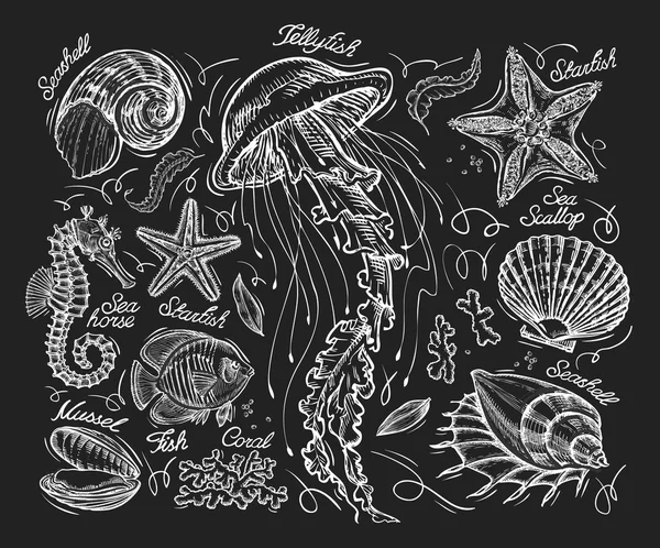 Hand drawn sketch jellyfish, starfish, scallop, conch, coral, mussel, fish, sea horse. Vector illustration — Stock Vector