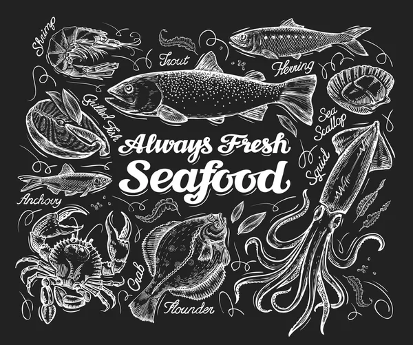 Deniz ürünleri. Bir balık, alabalık, pisi balığı, ringa balığı, kalamar, Yengeç, hamsi, karides, midye el çizilmiş kroki. vektör çizim