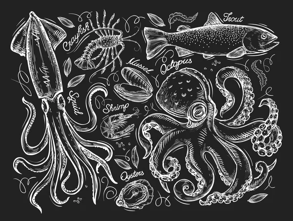 Mariscos o mamíferos marinos. Boceto dibujado a mano, calamar, langosta, pescado, trucha, mejillón, camarones, ostra, pulpo. Ilustración vectorial — Archivo Imágenes Vectoriales