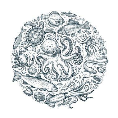 deniz hayvanları ya da deniz ürünleri. çizilmiş Eskizler ver. vektör çizim