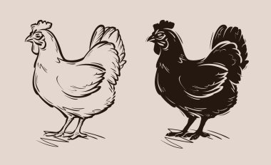 chicken vector logo. farm, poultry, hen, fowl icon clipart