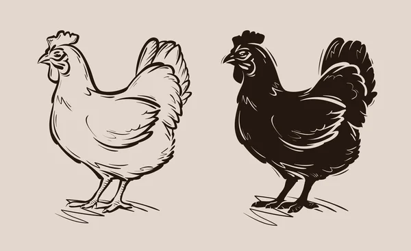 Logo del vector de pollo. granja, aves de corral, gallina, icono de aves — Vector de stock