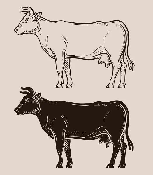 Logotipo do vetor vaca leiteira. fazenda, gado, ícone de leite —  Vetores de Stock