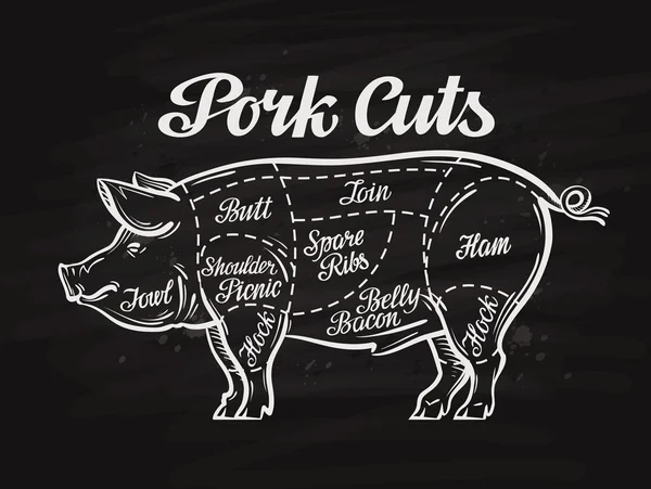 Pig, pork cuts. template menu design for restaurant or cafe — Stock Vector