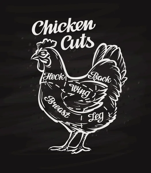 Cortes de pollo. plantilla de diseño de menú para restaurante o cafetería — Vector de stock