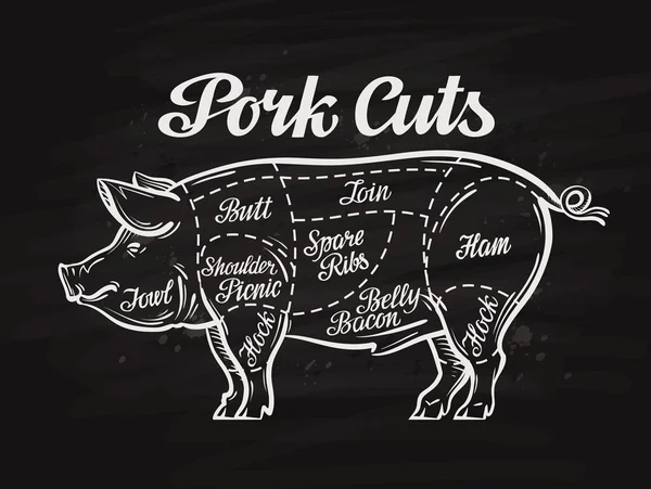 Pig, pork cuts. template menu design for restaurant or cafe — Stock Illustration Pig, pork cuts. template menu design for restaurant or cafe Royalty Free Stock Illustrations