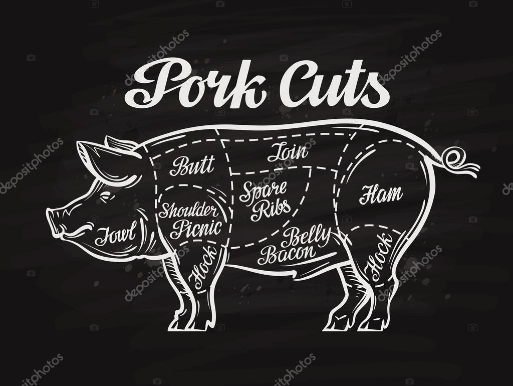 Pig, pork cuts. template menu design for restaurant or cafe