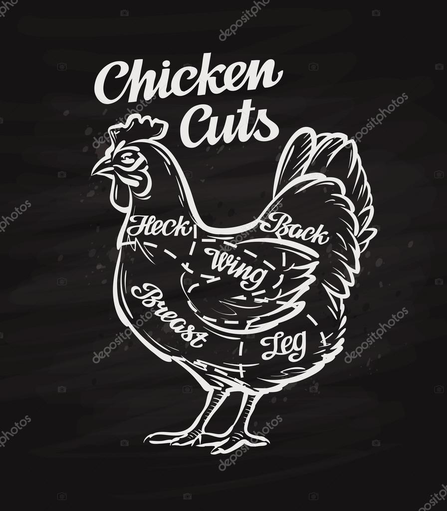 Chicken cuts. template menu design for restaurant or cafe