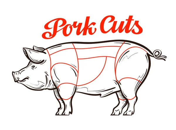Vector pork, pig chart. meat cuts or butcher shop — Stock Vector