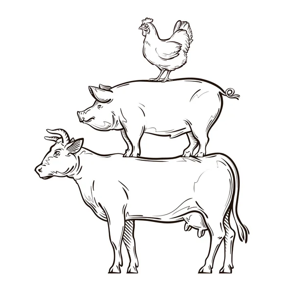 Handgezeichnete Kuh, Schwein, Huhn. Vektorillustration — Stockvektor
