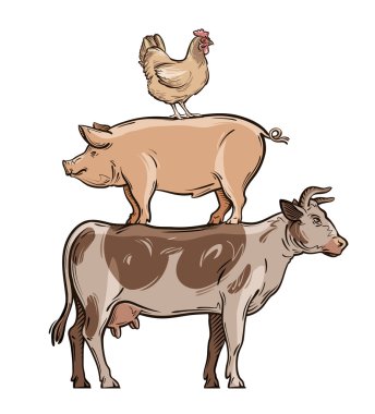çiftlik hayvanları. inek, domuz ve tavuk. vektör çizim