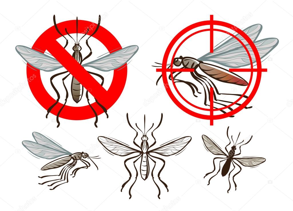 Mosquito. insects. prohibitory sign and a target. vector illustration