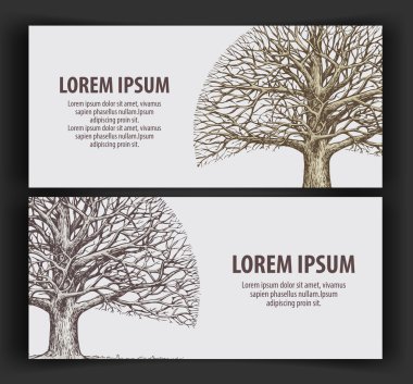 yapraksız ağaç. Ekoloji, doğa afiş. çizilmiş vektör yaşlı meşe.