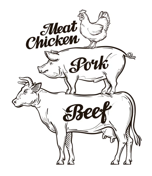 Farm, animal husbandry, cattle breeding, livestock farming. Beef, pork and chicken meat. Cow, pig, rooster vector illustration — Stock Illustration Farm, animal husbandry, cattle breeding, livestock farming. Beef, pork and chicken meat. Cow, pig, rooster vector illustration Stock Illustration