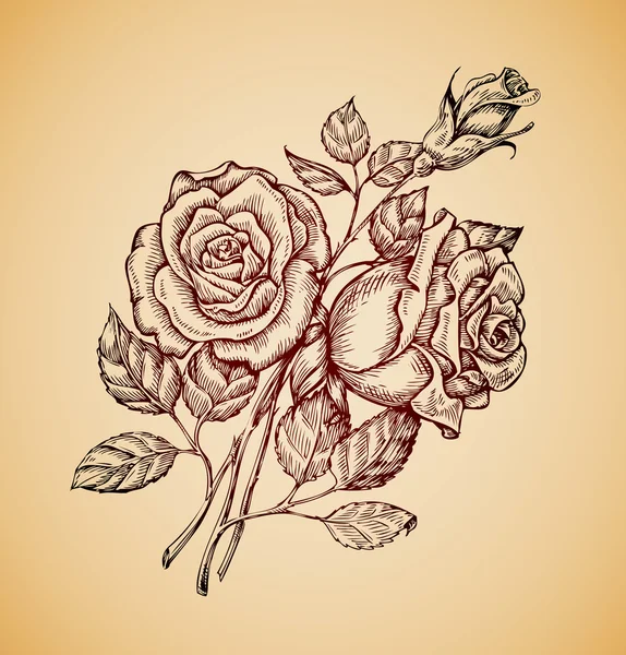Fleurs anciennes. Croquis rétro dessiné à la main rose fleur. Illustration vectorielle — Image vectorielle