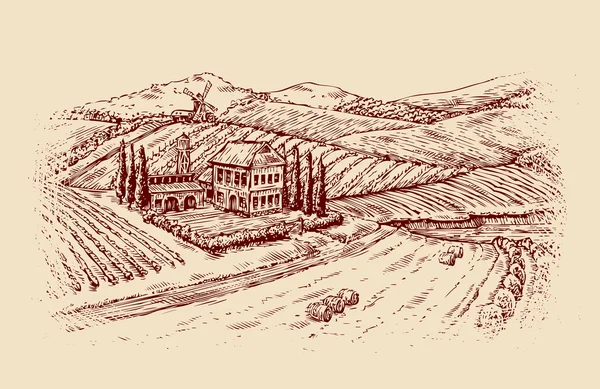 Italie. Paysage italien. Croquis réalisé à la main vignoble ancien, ferme. Illustration vectorielle — Image vectorielle