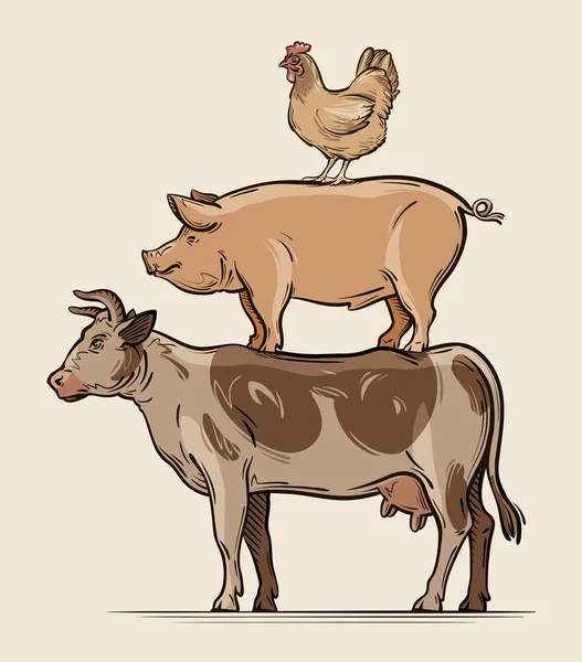 Gårdens djur. Ko, gris kyckling, nötkött, fläskkött, kött. Vektor illustration — Stock vektor