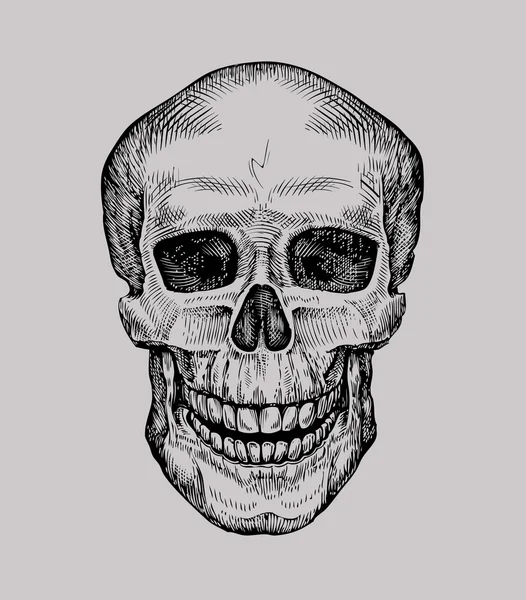 Ludzka czaszka. Ręcznie rysowane Jolly Roger. Szkic ilustracji wektorowych śmierci lub zombie — Wektor stockowy