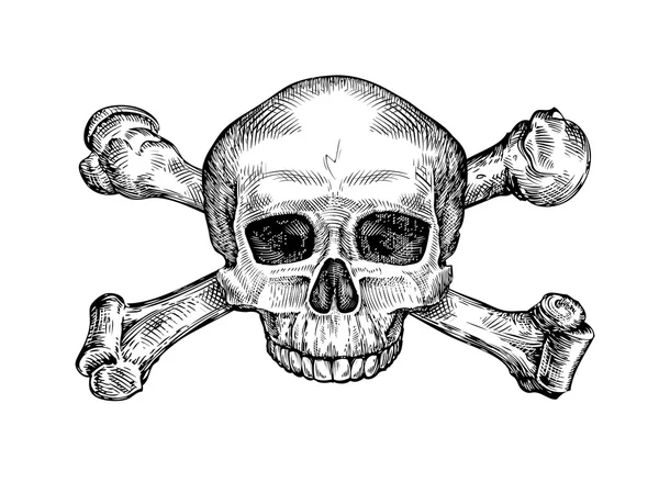 Jolly Roger. Crânio humano desenhado à mão e ossos cruzados. Desenho ilustração vetorial —  Vetores de Stock