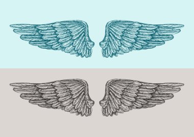 Elle çizilmiş vintage melek kanatları. Çizim vektör illüstrasyonu