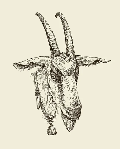 Ręcznie rysowane kozy. Szkic zwierząt gospodarskich. Ilustracja wektorowa — Wektor stockowy