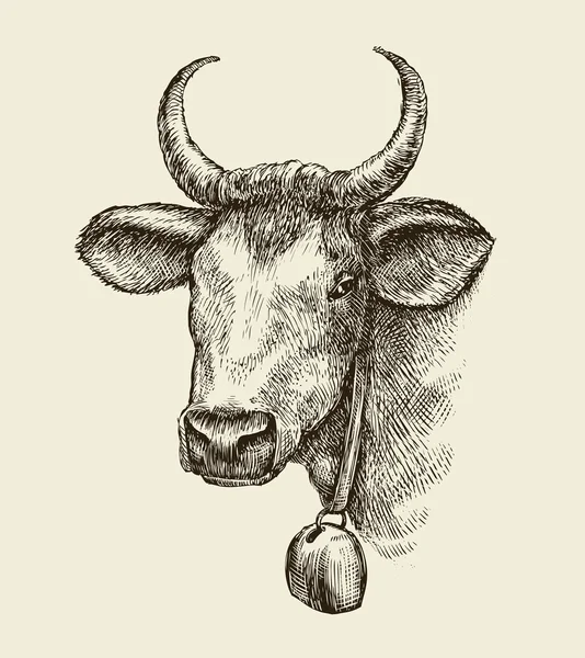 Vaca tirada a mano, toro. Dibuja un animal de granja. Ilustración vectorial — Archivo Imágenes Vectoriales