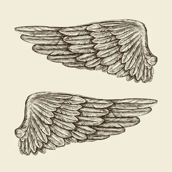 Ręcznie rysowane zabytkowe skrzydła. Ilustracja wektorowa szkicu — Wektor stockowy
