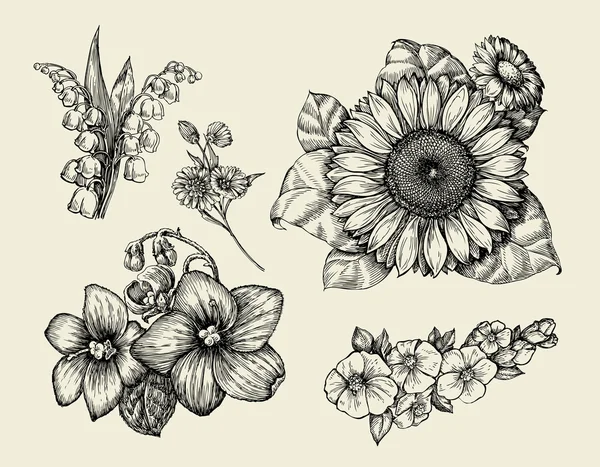 Flores. Esboço desenhado à mão flor, girassol, lírio branco, violeta. Ilustração vetorial — Vetor de Stock