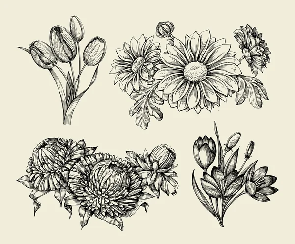 Flores. Desenho à mão flor esboço, tulipa, astra, aster, crocus, crisântemo. Ilustração vetorial — Vetor de Stock