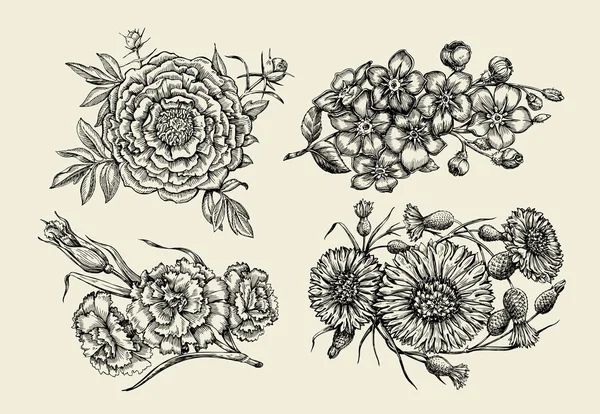 Flores. Desenho à mão flor de esboço, peônia, cornflower, knapweed, forget-me-not, cravo, cravo. Ilustração vetorial — Vetor de Stock