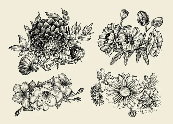 Flores. Flor desenhada à mão, papoila, crisântemo, dália. Ilustração vetorial — Vetor de Stock