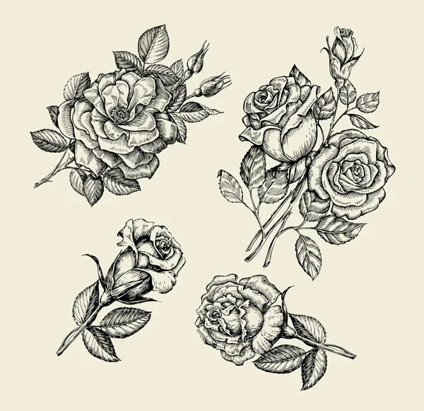 Bloemen. Hand getrokken schets bloem, rose, dogrose, rozenbottels, bloemmotief. Vectorillustratie — Stockvector